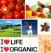 I LOVE ORGANIC Health food manufacturing produced with organic lycopene, Italian organic health food products made in Italy, hearth health care and cardiovascular disease prevention products from an Italian manufacturer, dietary supplement food organic suppliers and health food pills to USA, Canada, Middle East and Europe health care European dietary food wholesale distributors. Supplement food manufacturer with organic lycopene for health care business to business, organic lycopene for health care, skin care, anti aging for wholesale business and industrial applications
